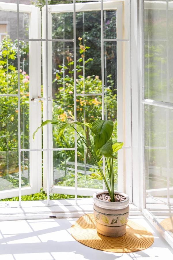 Cozy And Bright 1Bdr Apartment In The City Center! Zagrzeb Zewnętrze zdjęcie